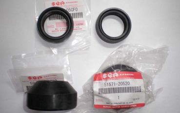 Gabel Simmeringe + Staubkappen GT 550