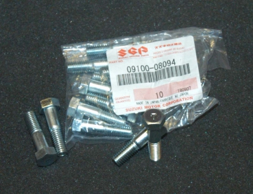 Bremsscheiben Schraube original S  GT 550 500 380 250