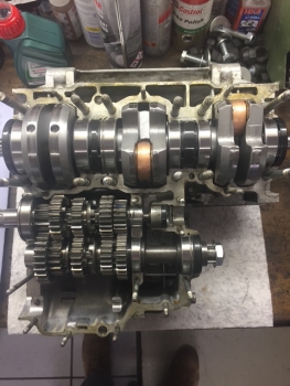 Preview: Kneeler Renngespann mit H2 Motor im Kundenauftrag zu verkaufen