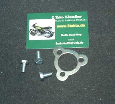 Ritzel Sicherungsblech GT550  GT380 mit Schrauben