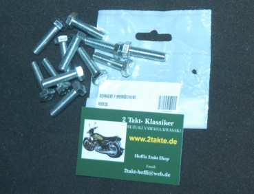 Bremsscheiben Schrauben Satz  GT 550 500 380 250 6st  SW13
