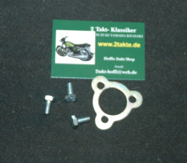 Ritzel Sicherungsblech GT550  GT380 mit Schrauben